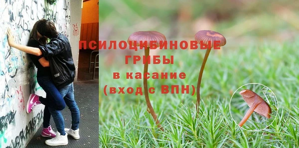 круглые Волосово