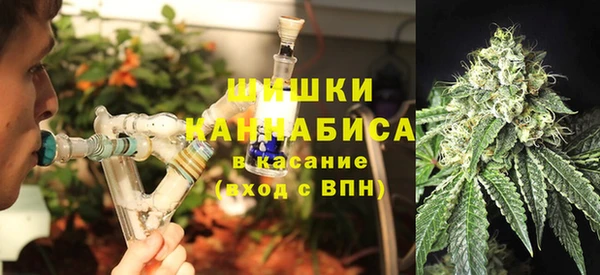 сатива Вязники