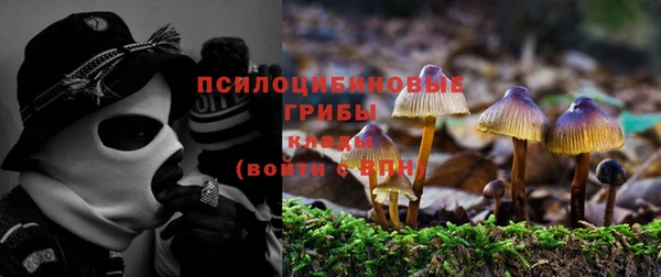 соль ск Волоколамск