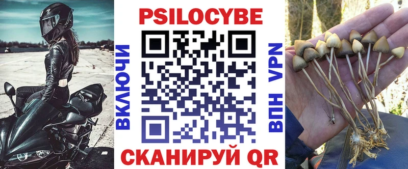 Галлюциногенные грибы Psilocybine cubensis  ОМГ ОМГ сайт  Арзамас 